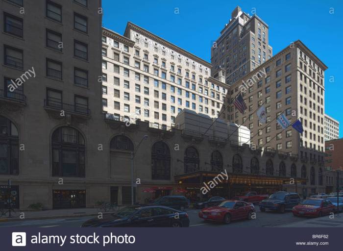 The drake hotel chicago il united states