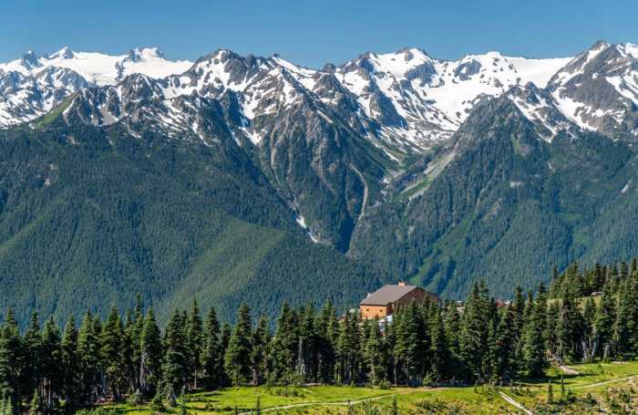 Places to stay near olympic national park