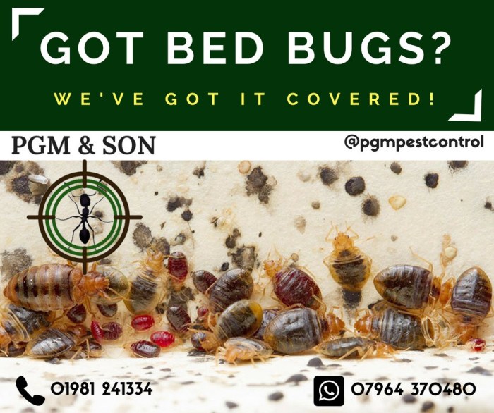 Bed bug registry hotel chains