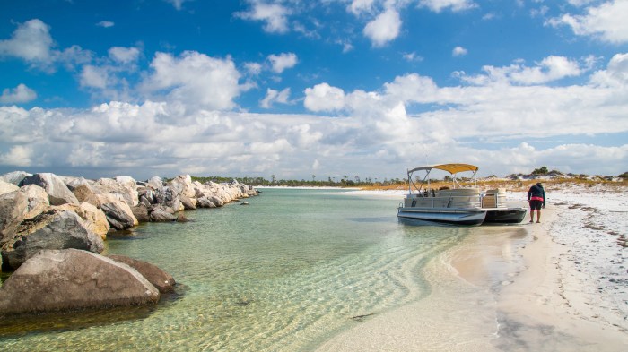 Shell island beach tours