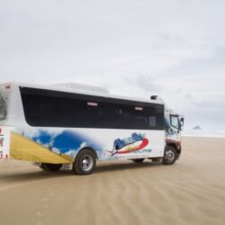 Beach buses