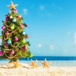 Beach holidays in december