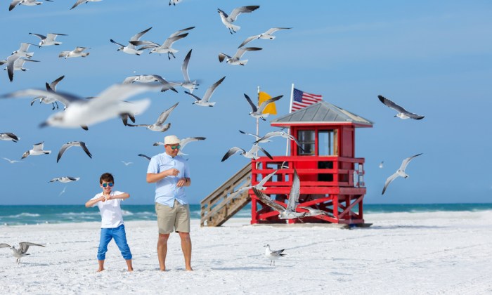 Beach family breaks weekend clearwater going places florida splendidly inexpensive