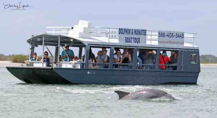 Rudee whale watching virginia tours beach