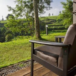 Tea garden resort bandung indonesia