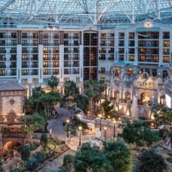 Gaylord hotel chain