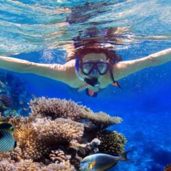 Nusa dua snorkeling tour