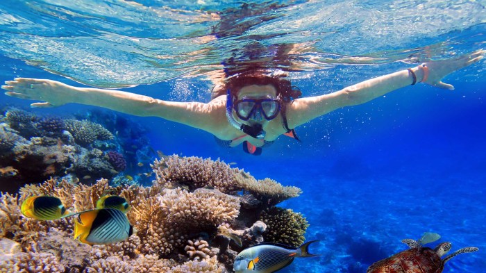 Nusa dua snorkeling tour