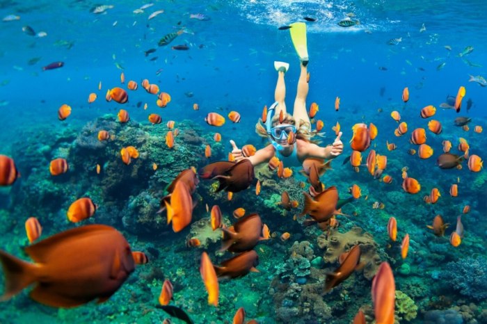 Best snorkelling holidays