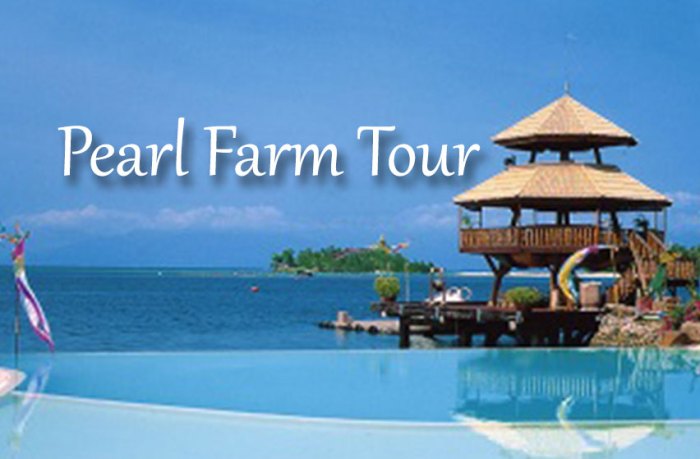 Pearl farm day tour