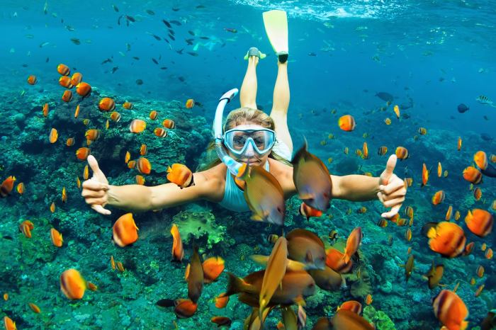 Best snorkelling holidays