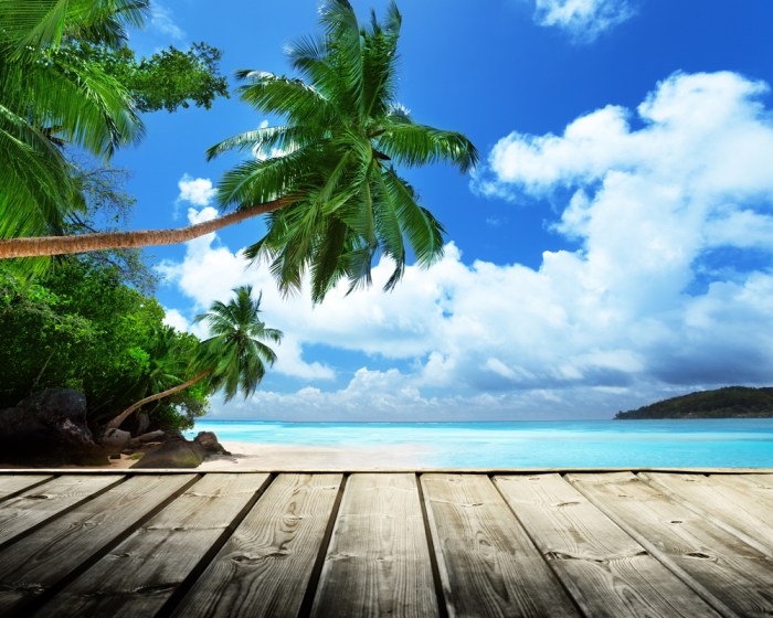 Background scenery backdrop june hawaii studio screen style attractive customize fashion vinyl webjet scenic destinations favourite holiday deals plan buy