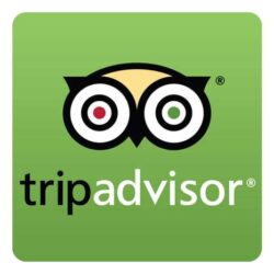 Tripadvisor logo icon app etwa