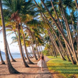 Palm cove to great barrier reef