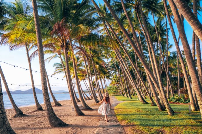 Palm cove to great barrier reef