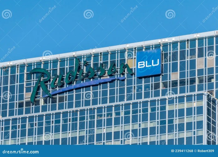 Radisson blu hotel chain