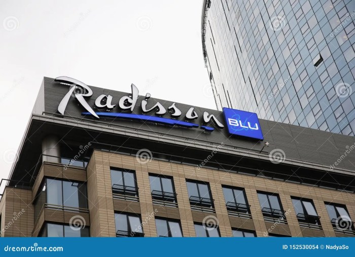 Radisson blu hotel chain